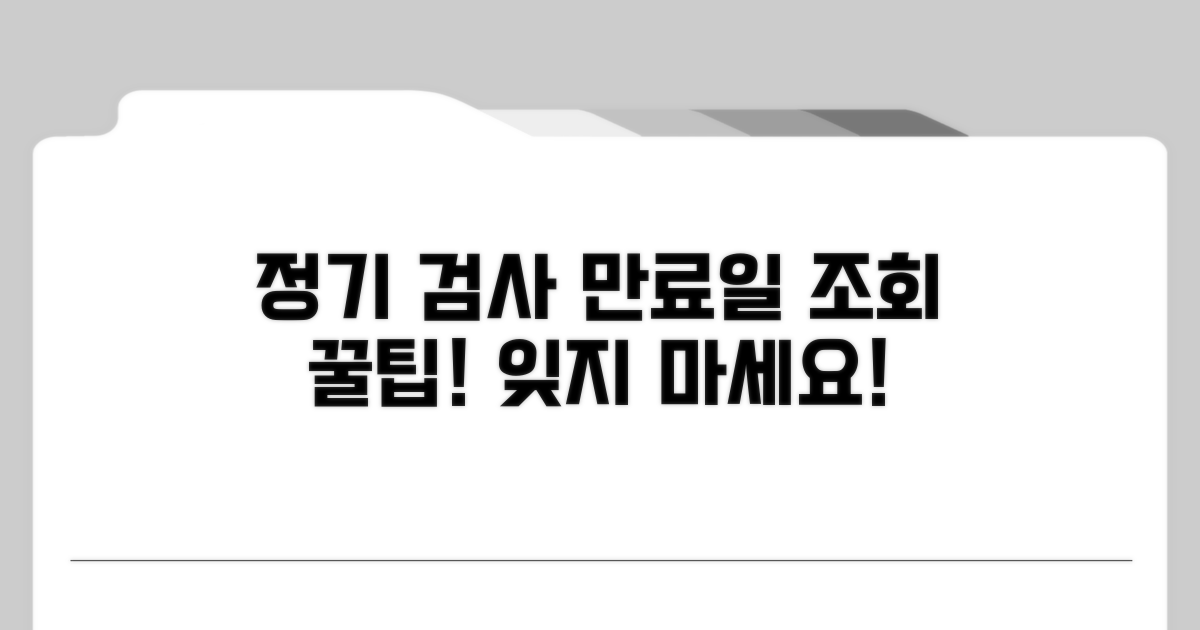 정기 검사 만료일 조회 방법