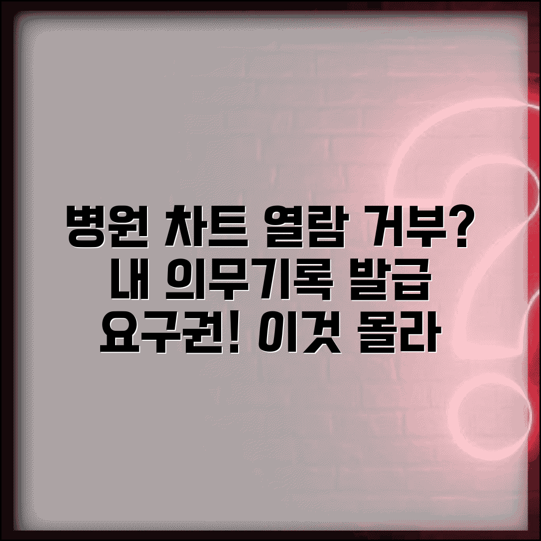 병원 차트 열람 거부당했을때 | 의무기록 사본 발급 요구권