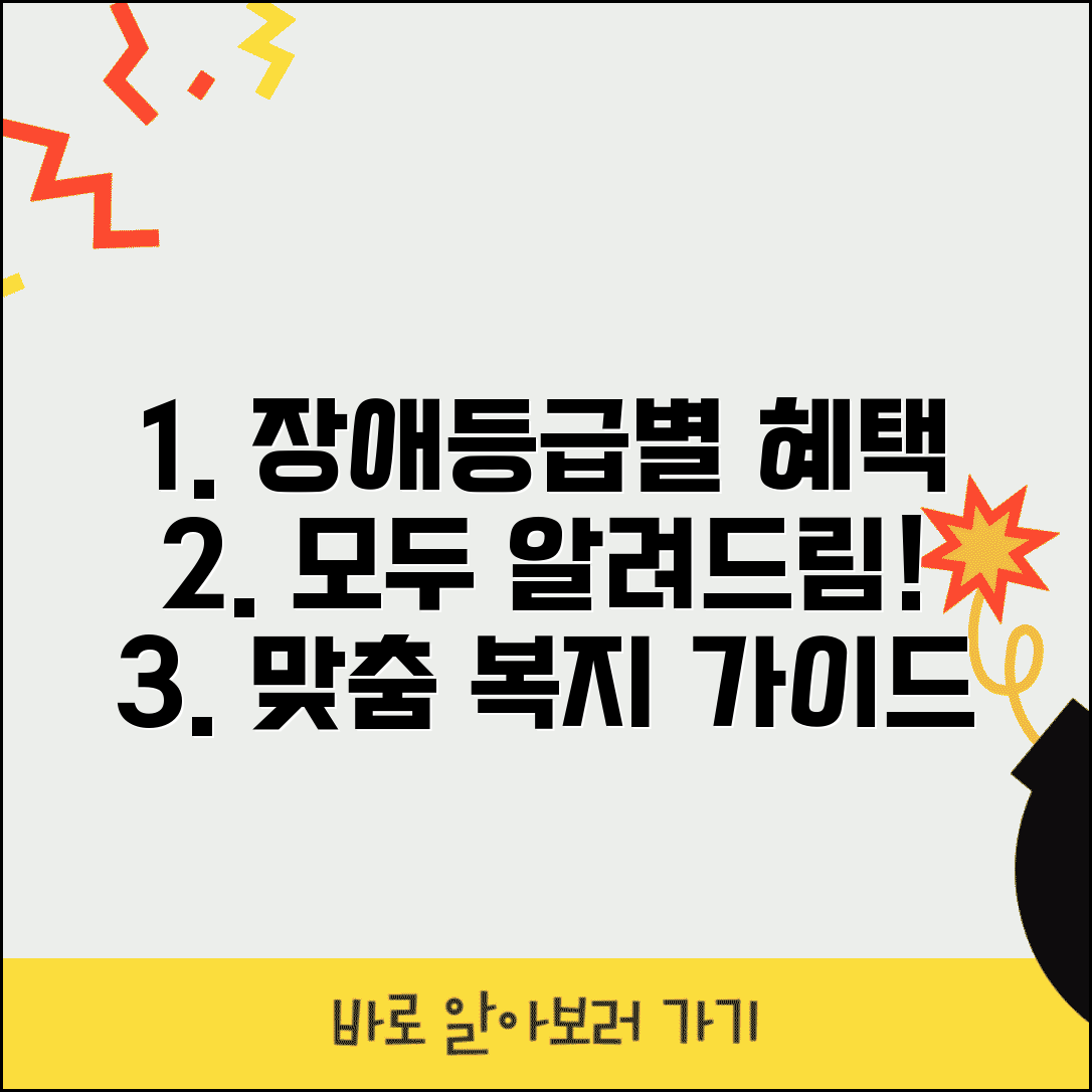 장애등급별 혜택 비교와 맞춤형 복지 가이드