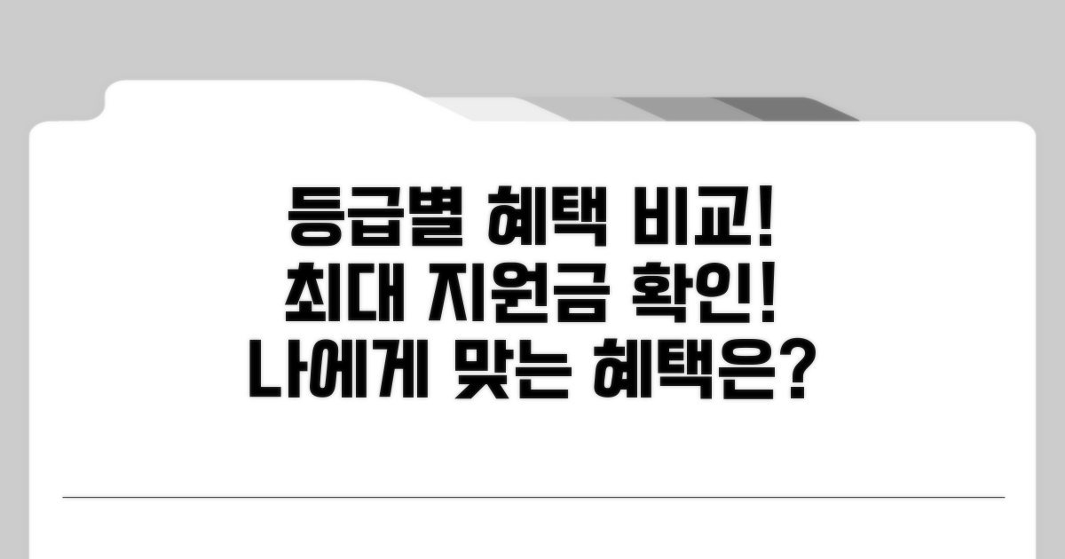 등급별 지원 내용 상세 비교