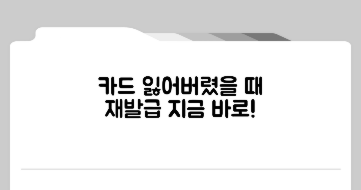 분실 시 카드 재발급 절차