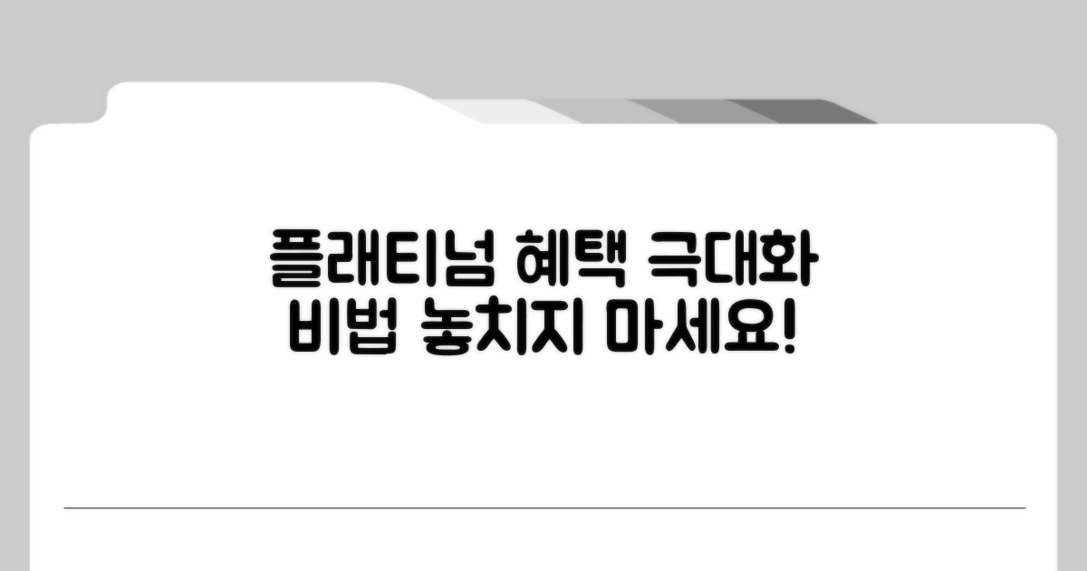 플래티넘 등급 혜택 극대화 전략