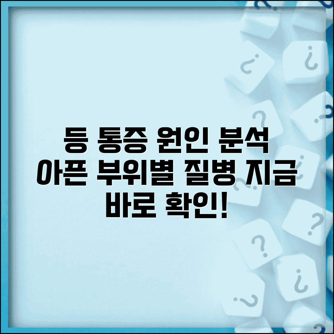 등 통증 원인 위치별 질병 | 등 아픈 부위별 원인과 증상, 통증 완화법 총정리