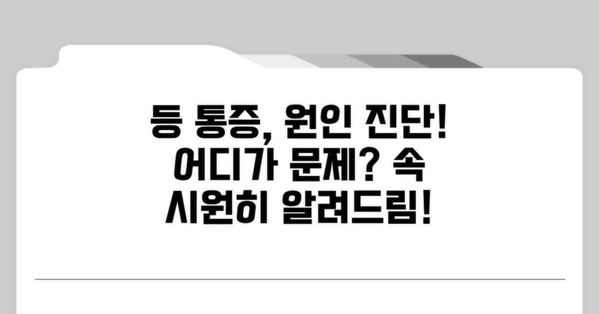 등 통증 원인, 어디가 문제일까?