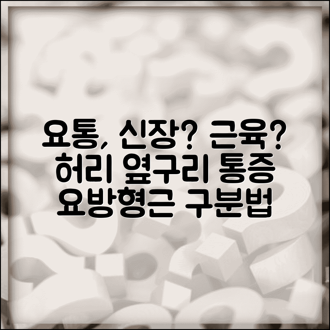 허리 옆구리 통증 | 요방형근 통증 | 신장 vs 근육 통증 구분