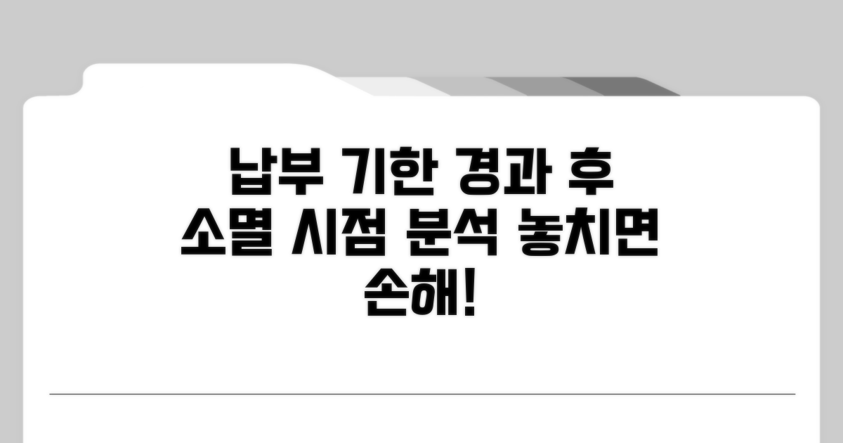 납부 기한 경과 후 소멸 시점 분석