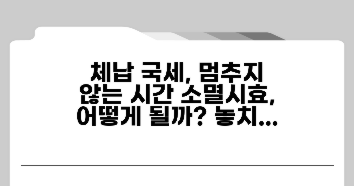 체납 국세 소멸시효 진행 방식