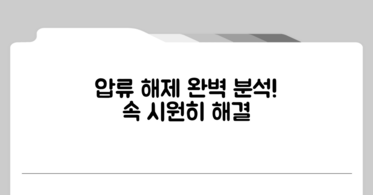 압류 해제 절차 완벽 분석