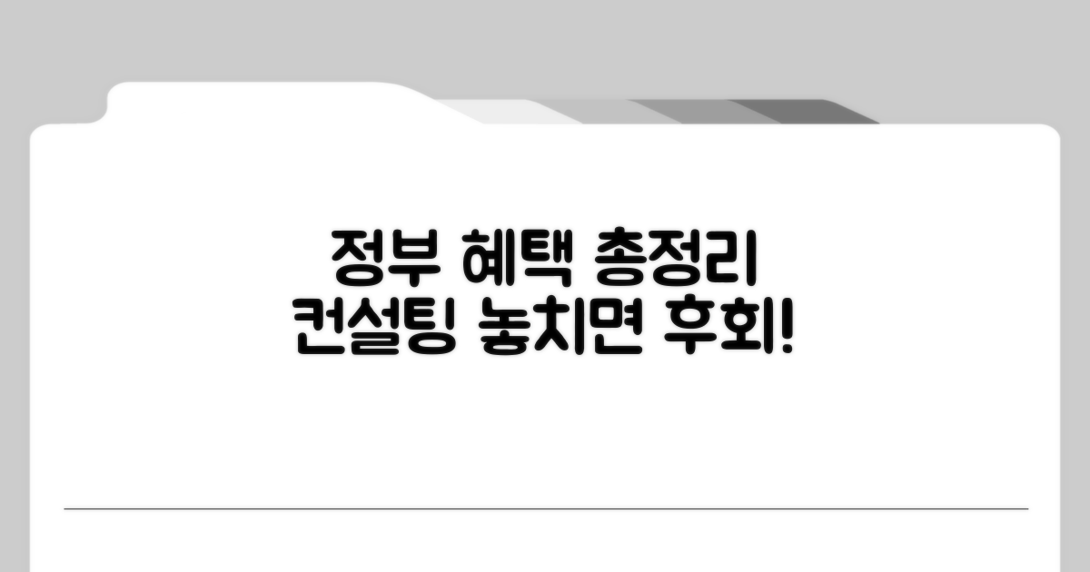 컨설팅 지원: 정부 혜택 총정리