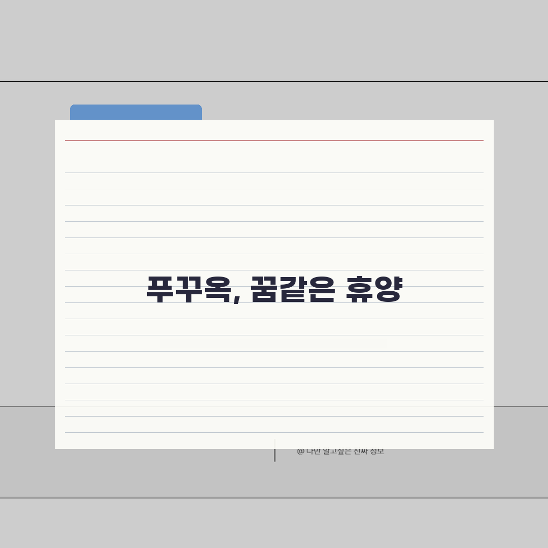 베트남 푸꾸옥 여행플랜 | 비치클럽 | 야시장 | 스노클링 포인트, 제 꿀팁 공유해요!